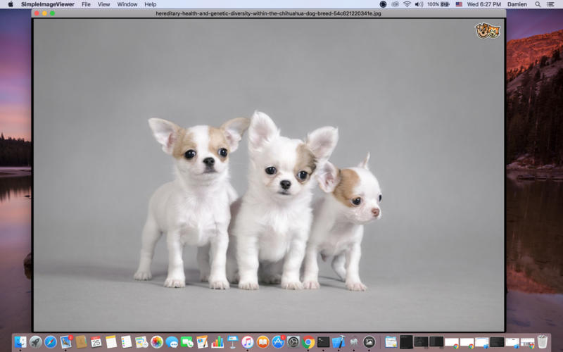 Hot Simple Image Viewer