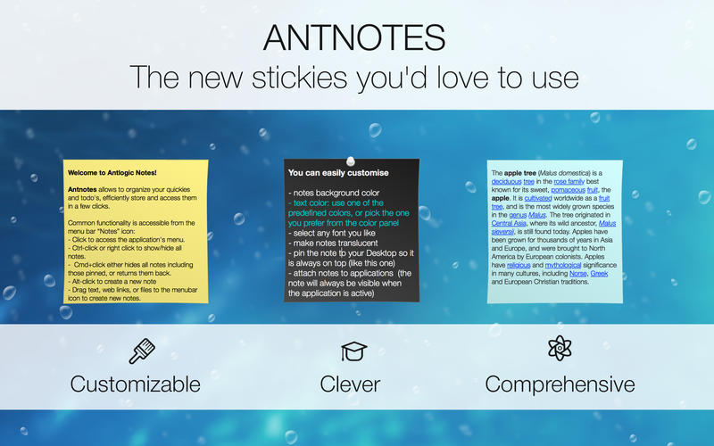 Simple Antnotes