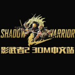 影武者2 3DM軒轅漢化組漢化補(bǔ)丁 v1.2 綠色版 