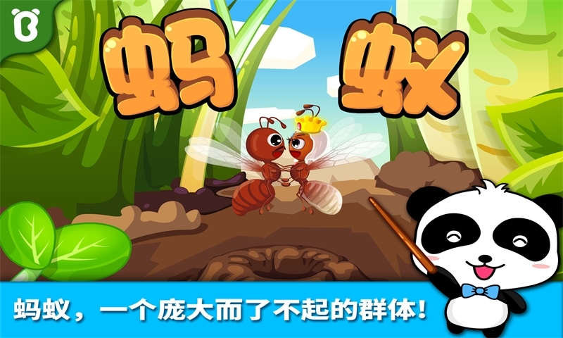 寶寶認(rèn)螞蟻 v9.0.10.10 安卓版圖1