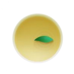 天天健康管家安卓版下載 v18.3.06 最新版 