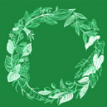 東盟中草藥app v5.0.0 安卓版 