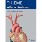 THIEME Atlas of Anatomy(解剖學(xué)圖譜一般解剖學(xué)和肌肉骨骼系統(tǒng)) 綠色版 
