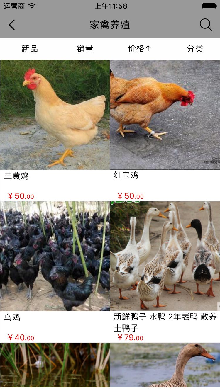 河南畜牧養(yǎng)殖網(wǎng)