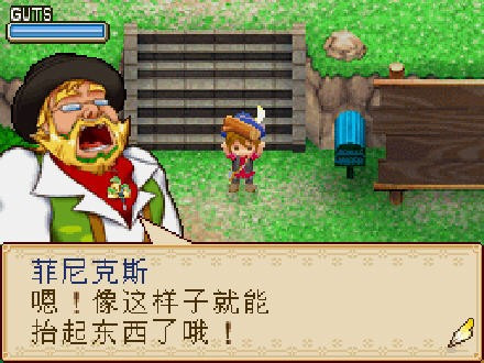 牧場(chǎng)物語(yǔ)風(fēng)之集市