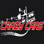 瘋狂賽車單機(jī)游戲中文版下載 