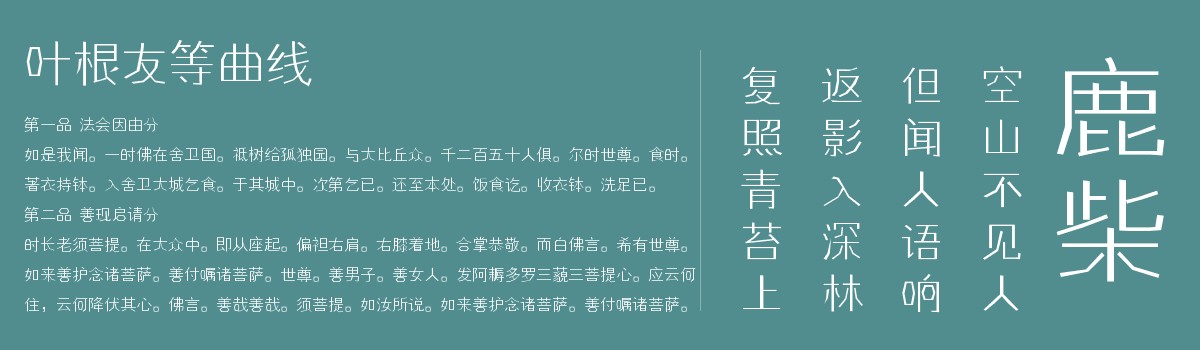 葉根友等曲線字體
