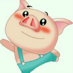 實(shí)惠豬淘客助手免費(fèi)下載 X21009 官方版 