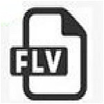FLV視頻探測器 V1.0.0.0 綠色免費(fèi)版 