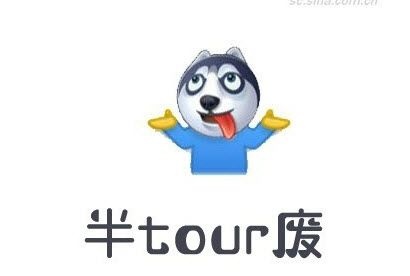 半tour廢英語表情包