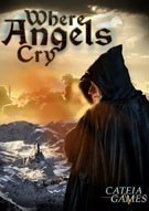 天使在哭泣漢化版下載 