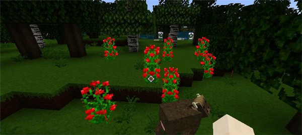 我的世界夜幕材質(zhì)包 綠色版圖2