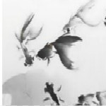 染夜 v1.0 綠色版 