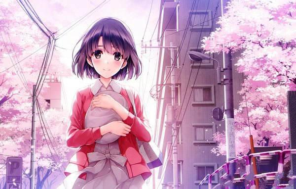 加藤惠高清壁紙