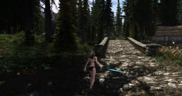 上古卷軸5激光劍mod