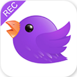 飛云錄app下載 v3.1.9 安卓版 