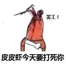 象拔蚌表情包 高清版 