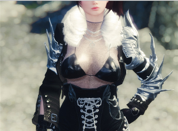 上古卷軸5銀狐衣服MOD