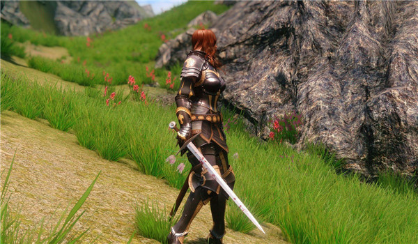 上古卷軸5神佑護甲MOD