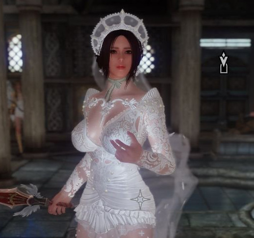 上古卷軸5雪禮服MOD