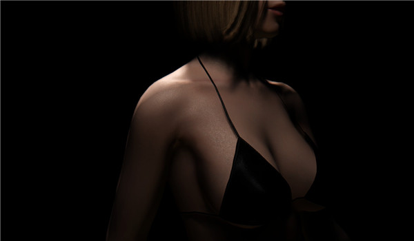 上古卷軸5皮膚MOD