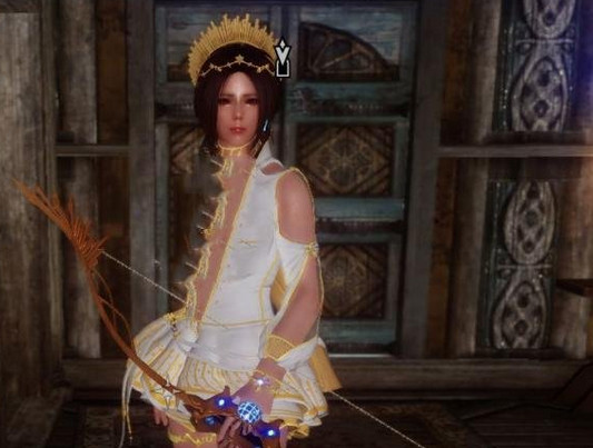 上古卷軸5游俠套裝MOD