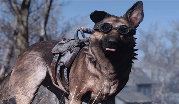 輻射4有防御效果的狗護(hù)甲MOD下載 