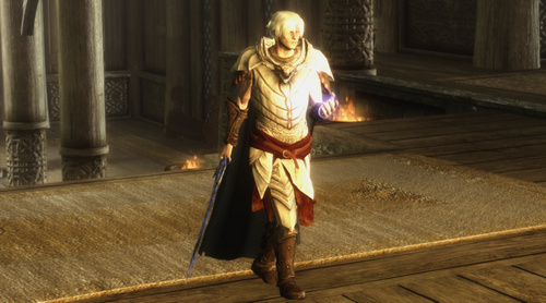 上古卷軸5單手法術(shù)動(dòng)作替換MOD