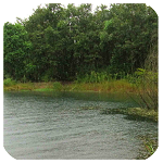 經典詩詞 v2.0 安卓版 