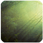 秒殺高考數(shù)學下載 v2.0 安卓版 