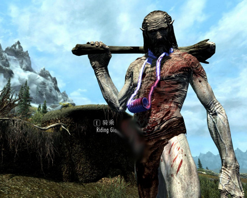 上古卷軸5不一樣的騎乘體驗MOD