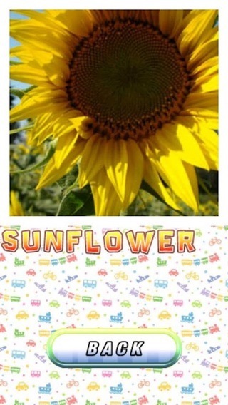 兒童英語(yǔ)詞匯