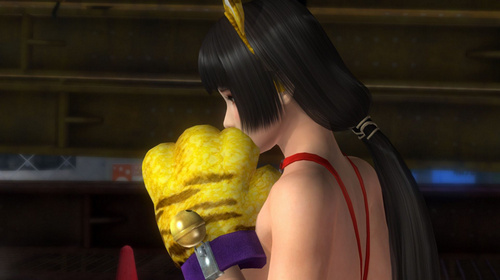 死或生5Naotura布偶虎清涼MOD