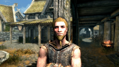 上古卷軸5真實眉毛MOD