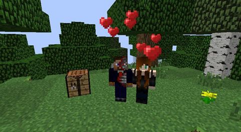我的世界結(jié)婚MOD