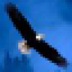 金鷹期貨自動交易軟件 V3.1.0.100 免費版 