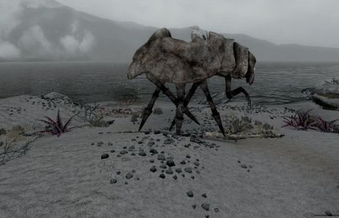 上古卷軸5重制版跳蚤大巴MOD下載 免費(fèi)版圖1