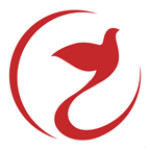 喜鵲喜報(bào) v2.1.6 安卓版 