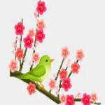 批量生成報告表 v3.0 綠色版 