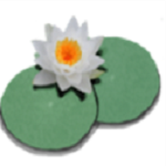 LilyPond for Mac(五線譜制作軟件) V2.19.55 綠色版 