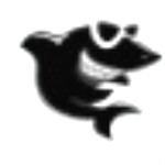 黑鯊裝機大師 v11.5.47.1530 官方免費版 