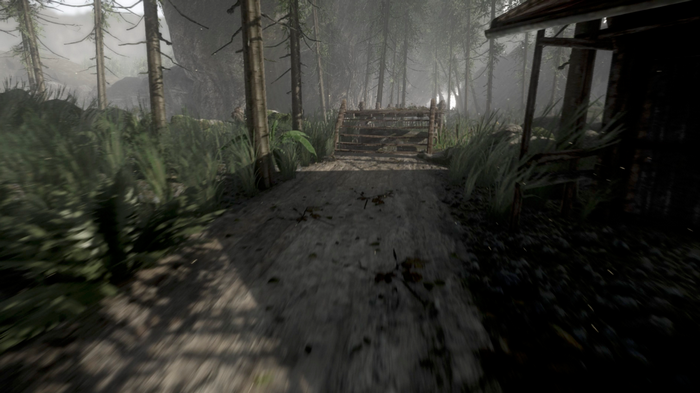 反射的命運(yùn) 中文版