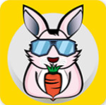 奔奔兔旅行 v1.0.9 安卓版 