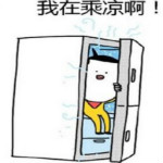 冰箱里太舒服了表情包 高清無水印版 