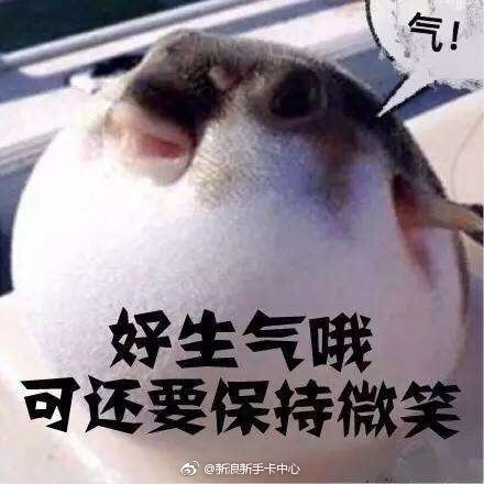 河豚氣鼓鼓表情包
