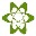 桌面錄屏軟件(LiveView) V3.8.1 官方安裝版 