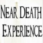 瀕死體驗(yàn)游戲下載 pc中文版 