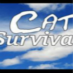 貓與九條命游戲下載 中文硬盤(pán)版 