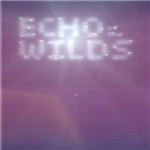 野外回聲游戲下載 漢化版 