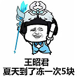 我王昭君凍一次五塊錢表情包 最新版 